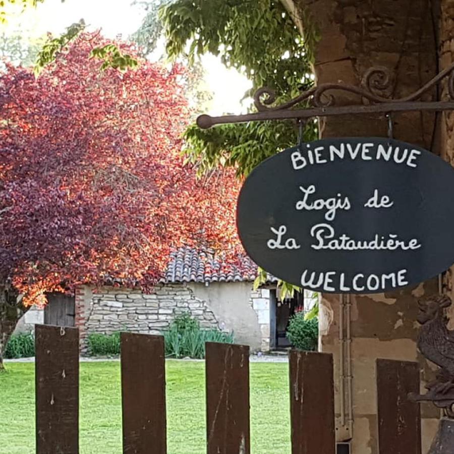 Le Logis De La Pataudiere Champigny-sur-Veude Exterior photo