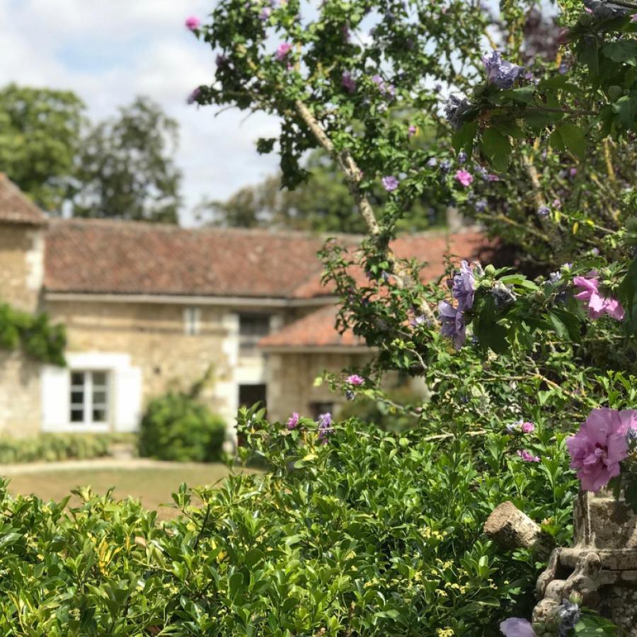 Le Logis De La Pataudiere Champigny-sur-Veude Exterior photo